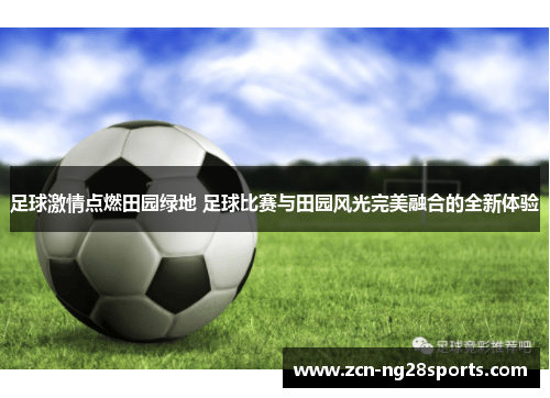 足球激情点燃田园绿地 足球比赛与田园风光完美融合的全新体验